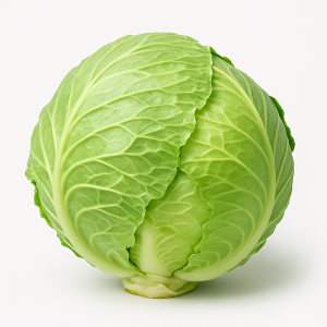 양배추 항암 효과 - 양배추와 암 1 a head of cabbage with leaves
