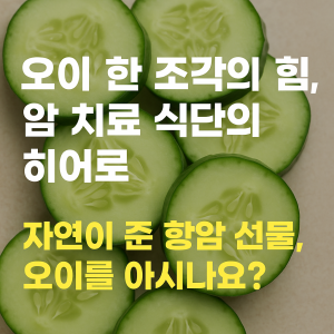 오이 항암 효과, 암 식단에서 꼭 챙겨야 할 이유는? 1 오이 한조각의 힘 300