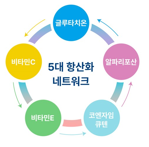 글루타치온 효능 총정리 - 간 해독부터 암 치료 주의점까지 1 a diagram of different colored circles