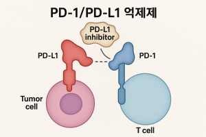 암치료 면역요법 가이드 1 PD 1PD L1억제제