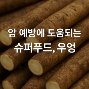 우엉 효능 - 자연에서 온 항암 식품 - 우엉의 놀라운 효능 1 우엉